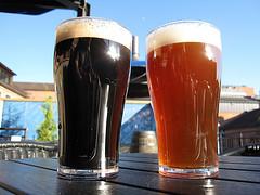 Ales vs. Lagers: Which Will Be On Your Beer Brewing Agenda?