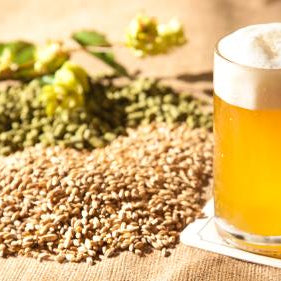 How To Choose The Best Ingredients For Home Brewing