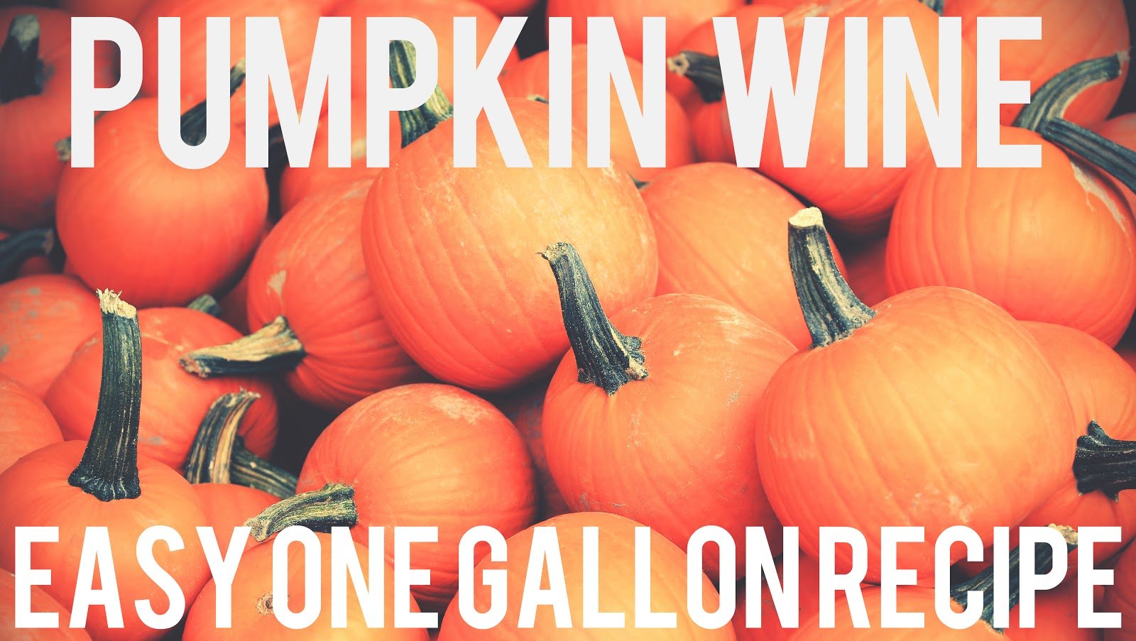 Pumpkin Wine Recipe