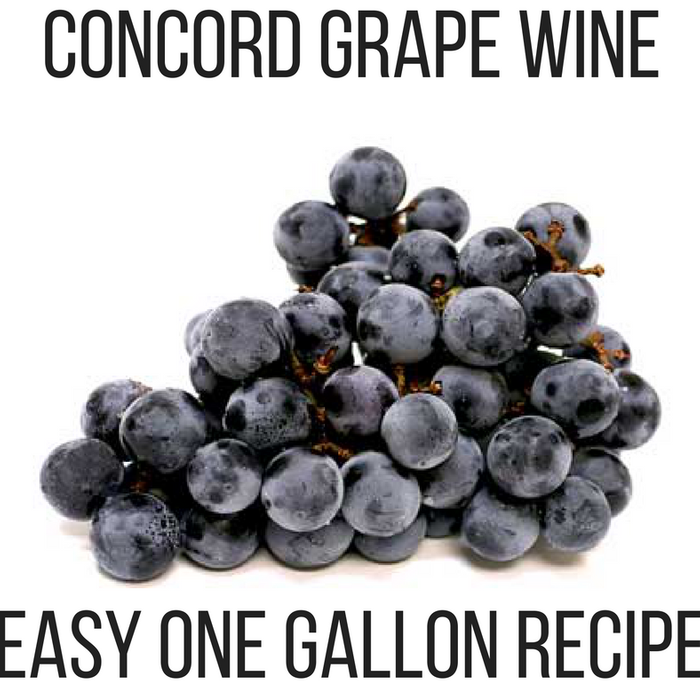 Concord Grape Wine Recipe
