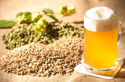 Supplies Needed for a Beer Brewing Kit
