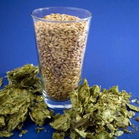 The Four Ingredients You Need (Along With A Beer Brewing Kit)