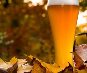 How Seasonal Beers Are Made