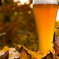 Autumn Home Brewing