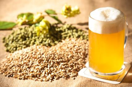 Popular Beer Additives and Chemicals