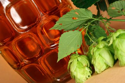 Great Winter Beers for Your Beer Brewing Kit