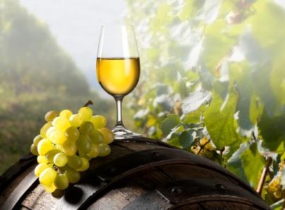 An Introduction To Common Wine Making Terminology