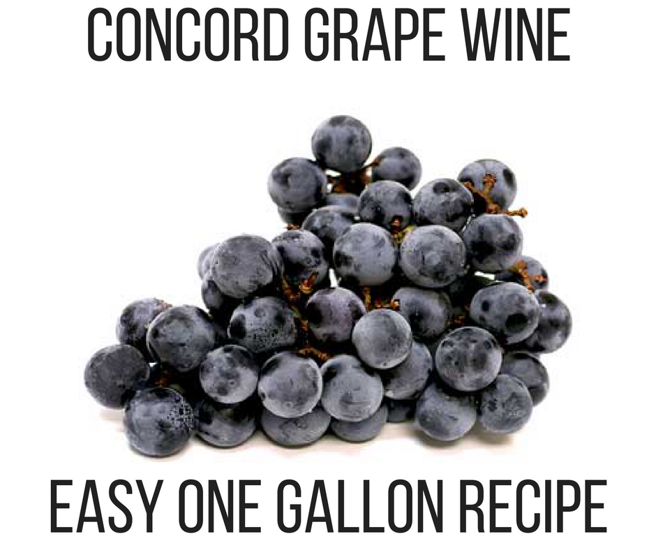 Concord Grape Wine Recipe