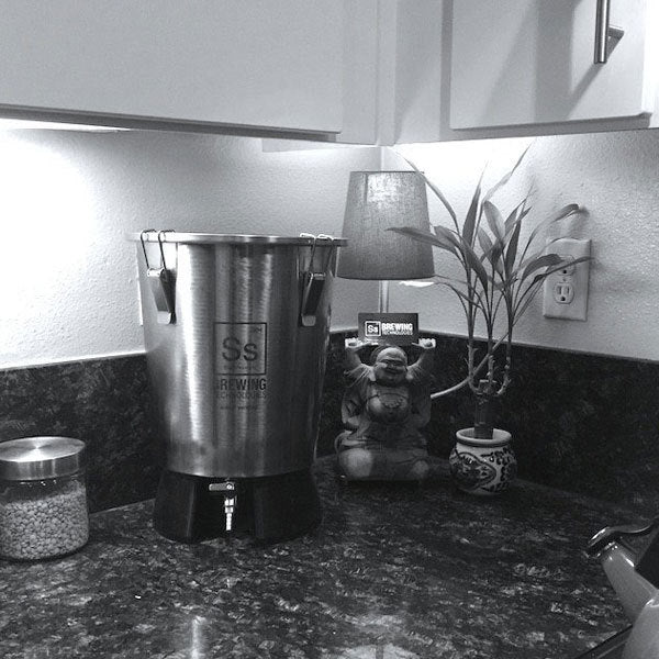 3.5 Gallon SS BrewTech Brew Bucket Mini