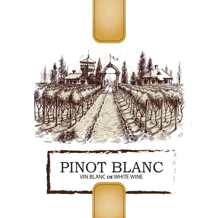 Pinot Blanc Wine Labels