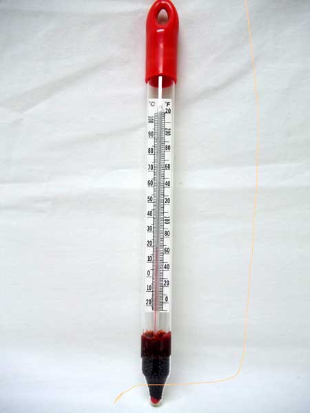 Floating Thermometer with Storage Tube